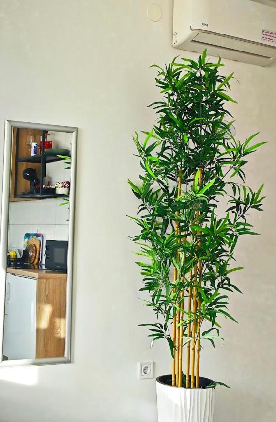 Cozy Old Town Apartment Zara Esterno foto